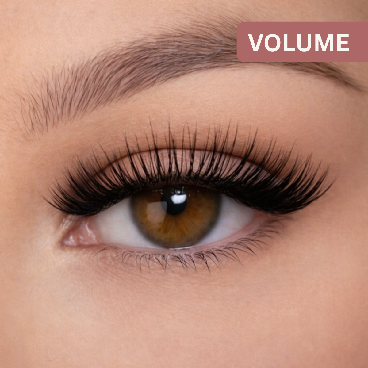 Easy Lashes