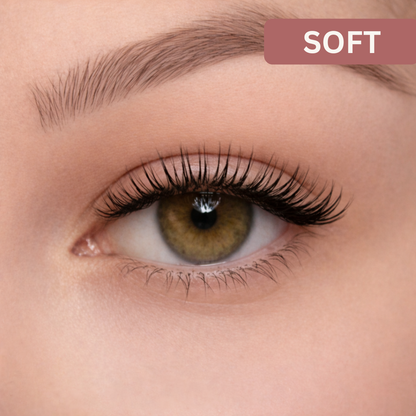 Easy Lashes