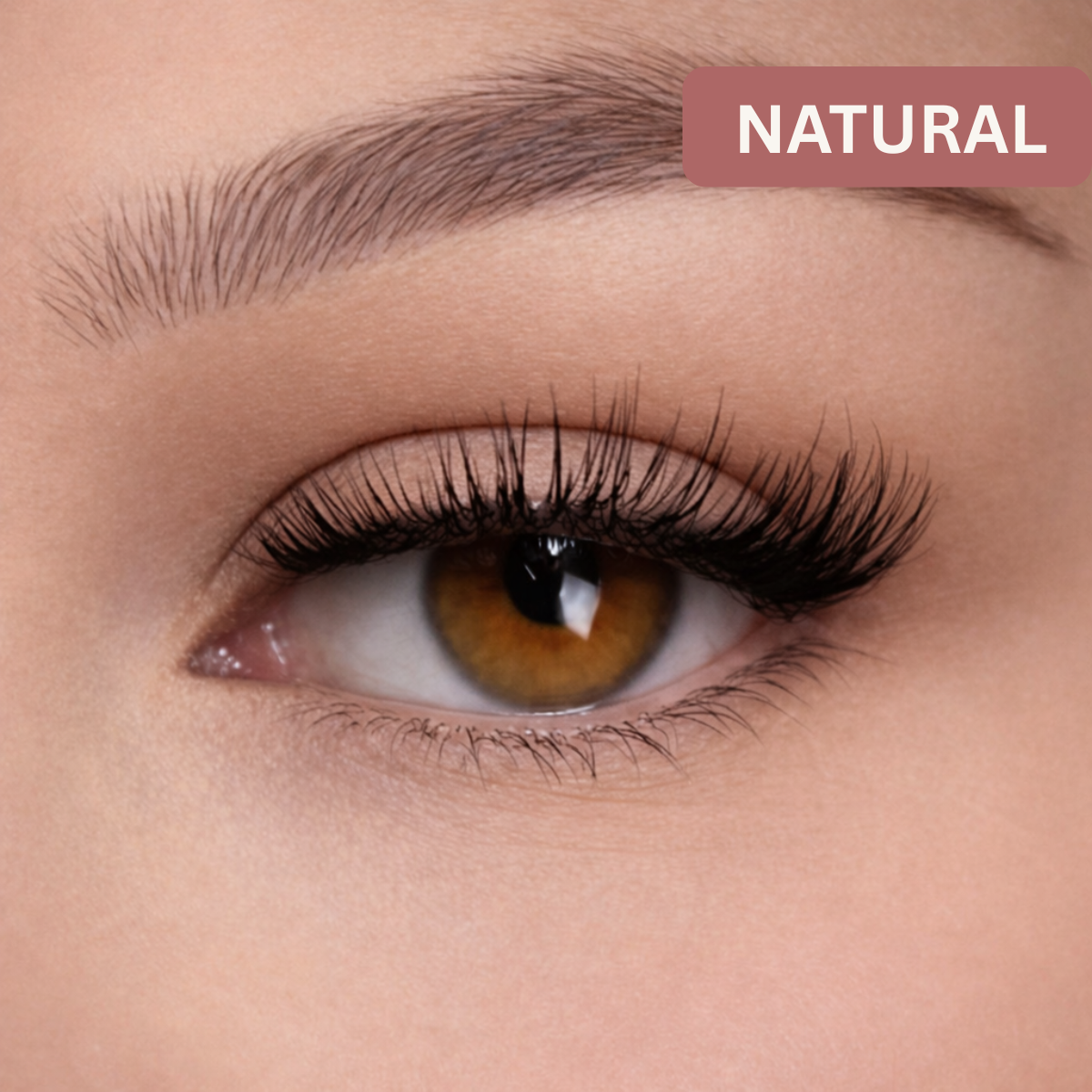 Easy Lashes