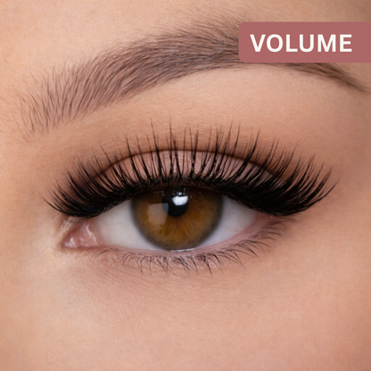 Easy Lashes